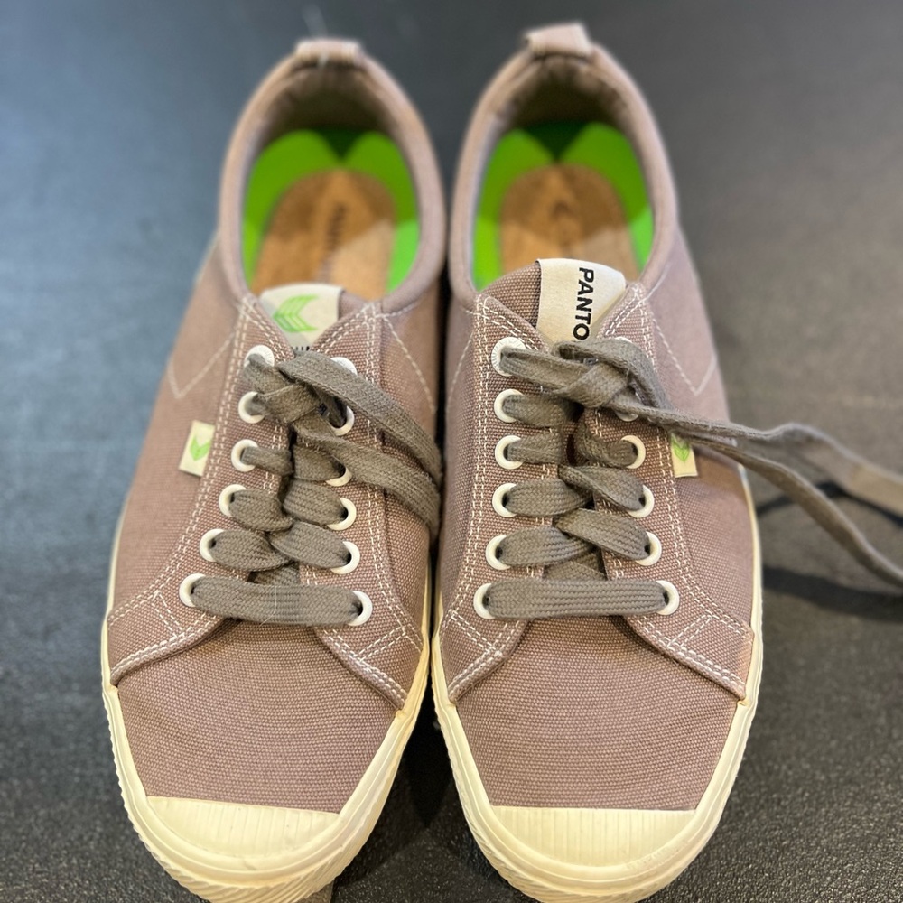 Pantone & Cariuma shoes